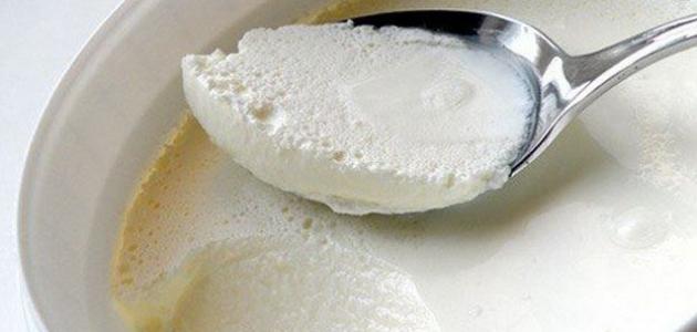 فوائد الزبادي والثوم الصحية