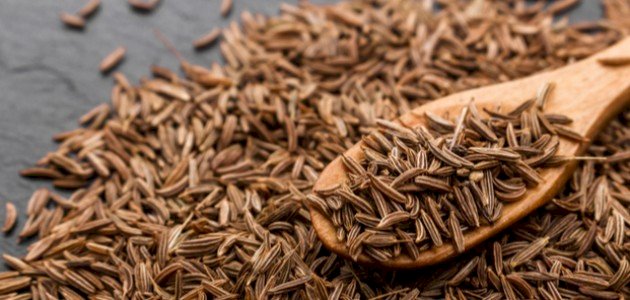 فوائد الشمر والكمون الصحية