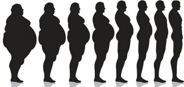 الصدمة في عالم الحميات: هل ما زلنا نتبع الطرق الخاطئة لخسارة الوزن في 2026؟