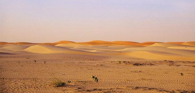 تحليل أسباب التصحر: رؤية معمقة وعلاقتها بتغير المناخ