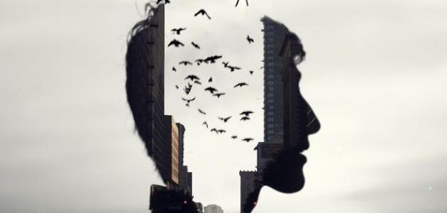 ذاكرة ضعيفة: هل أنت ضحية التكنولوجيا أم سوء التغذية؟ (تحليل شامل لعام 2026)