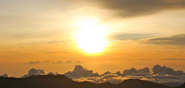 الشمس: الدليل الشامل لفهم نجمنا الحيوي (تحديث 2026)