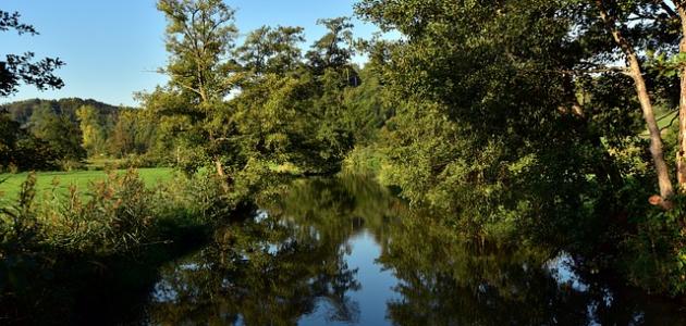 سيروم الرطوبة الذكي: بشرة نضرة بتقنية 2026