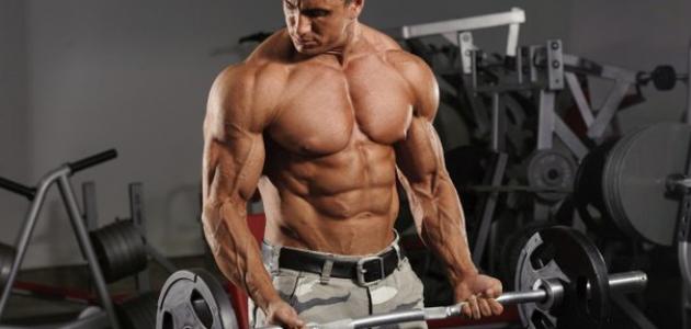 تحليل علمي: كيف تبني عضلاتك بأسرع وقت ممكن (2026)