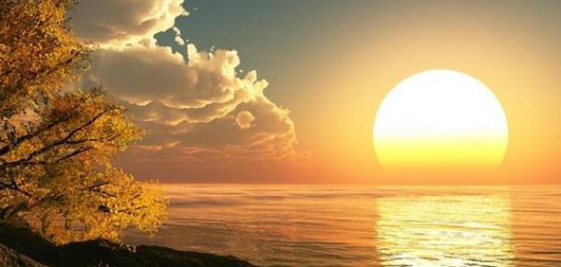 تحليل دوران الشمس: السرعة التفاضلية والمجال المغناطيسي