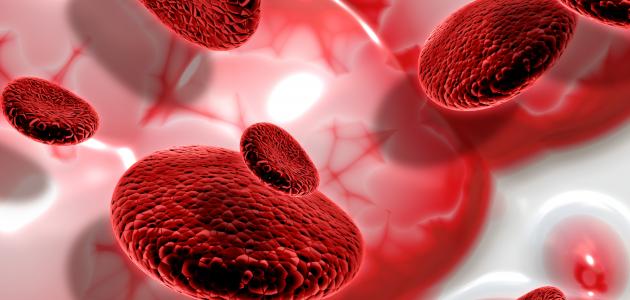 كل ما تود معرفته عن الدم: المكونات، الفصائل، والوظائف الحيوية 