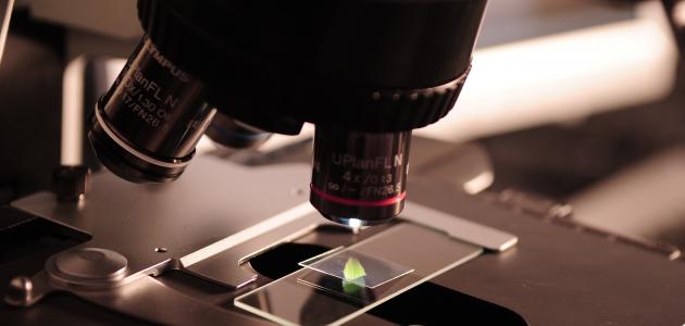 تشريح المجهر الضوئي المركب: نظرة تحليلية على الأجزاء والوظائف وتوقعات 2026