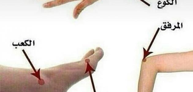 الكوع والبوع: تحليل نقدي للفروقات وتوقعات 2026