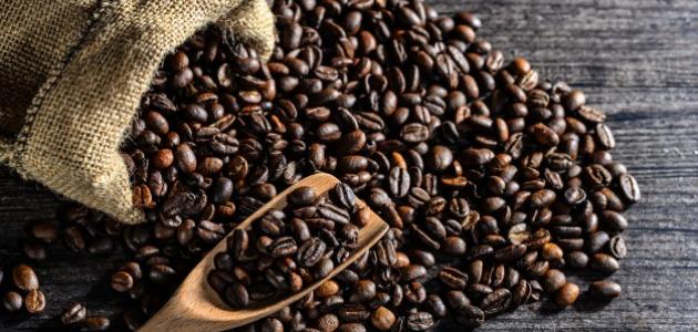 قشر القهوة: من المخلفات الزراعية إلى مشروب المستقبل (تحليل شامل لعام 2026)