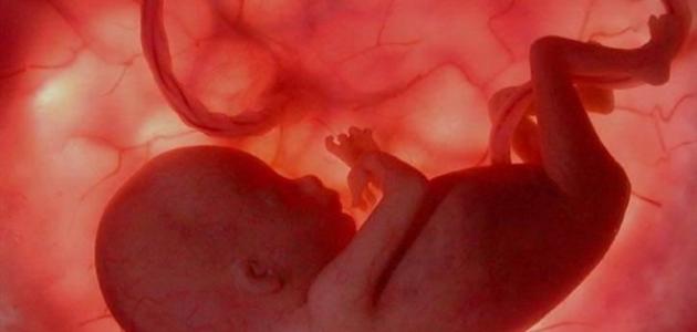 كيفية تنفس الجنين وتأثيره على نمو الرئتين