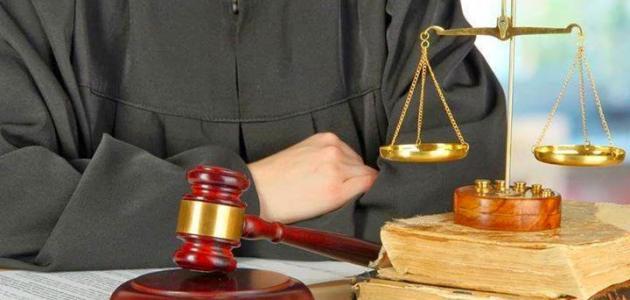 الضبط الإداري: مفهومه، خصائصه، أهدافه، وأنواعه في القانون