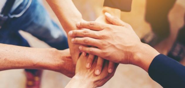 ما هو التضامن: مفهومه وأهميته وعوامل الوحدة العربية