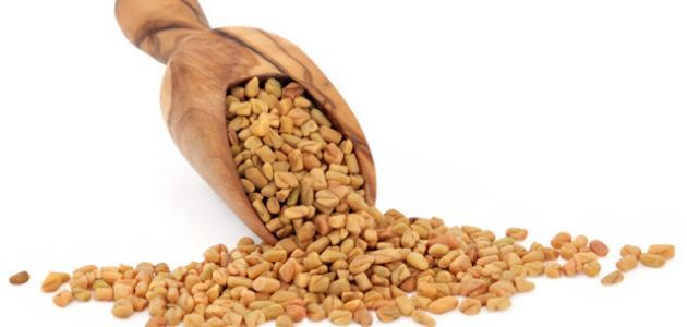 سحر الحلبة: روتين 2026 لزيادة الوزن وتألق البشرة