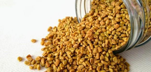 الحلبة لزيادة الوزن: هل هي فعالة؟ فوائدها وأضرارها ونصائح لزيادة الوزن الصحية