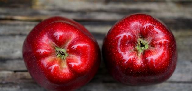 الدليل الشامل للتفاح: فوائد، أنواع، وقيمة غذائية (تحديث 2026)