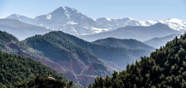 الأطلس: دليل شامل حول علم الخرائط وأنواعه وأهميته