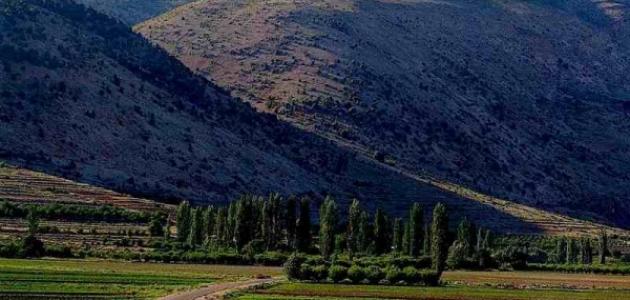 أين يقع سهل البقاع وما هي أهميته؟ معلومات شاملة