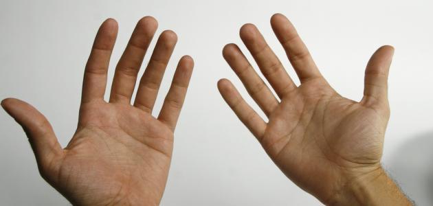 تحليل أسباب رجفة الجسم: رؤى استقصائية وعلاجية