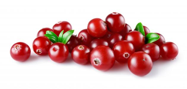 توت بري 2026: أسرار النضارة والتخسيس بتقنية النانو