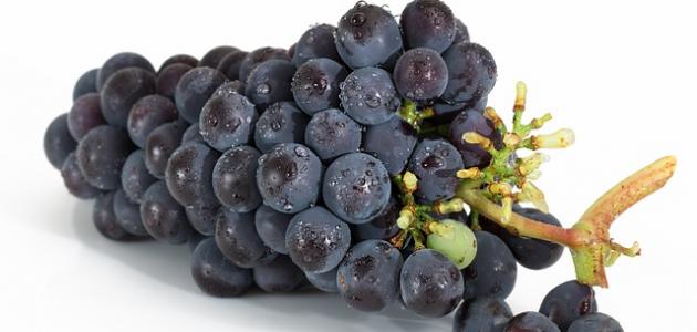 العنب والقولون: فوائد ومحاذير يجب معرفتها (تحديث 2026)