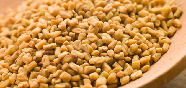 الحلبة بالعسل: فوائد صحية لا تقدر بثمن ووصفة سهلة التحضير