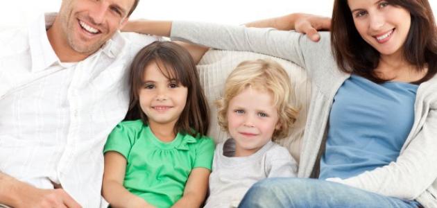 الدليل الشامل للصفات الوراثية: كل ما تحتاج معرفته في 2026