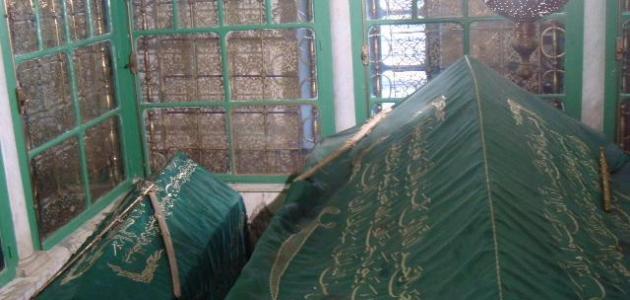 تحليل وفاة صخر بن عمرو: الشجاعة، الثأر، ورثاء الخنساء