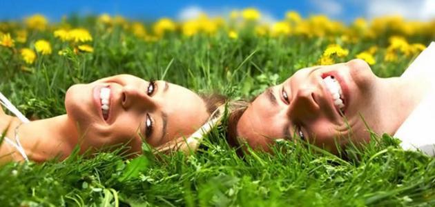 تحليل علمي: استراتيجيات السعادة المستدامة في 2026