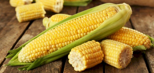 الدليل الشامل: فوائد الذرة لمرضى السكري (2026)