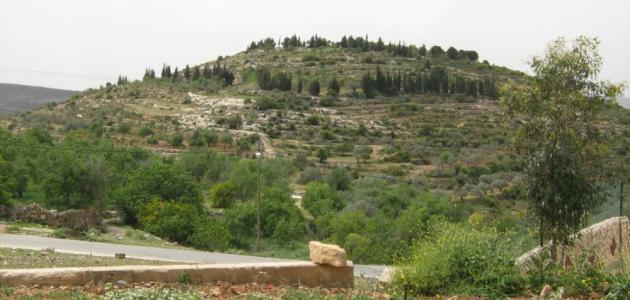 الريتينول: بشرة متوهجة 2026