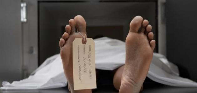 تحلل الجثة: تحليل علمي لمراحل التحلل وأهميته في الطب الشرعي