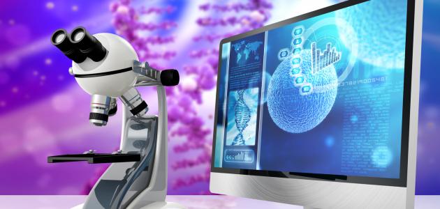 إعلام الوراثة: كل ما تحتاج معرفته حول استخراج حصر الإرث في 2026