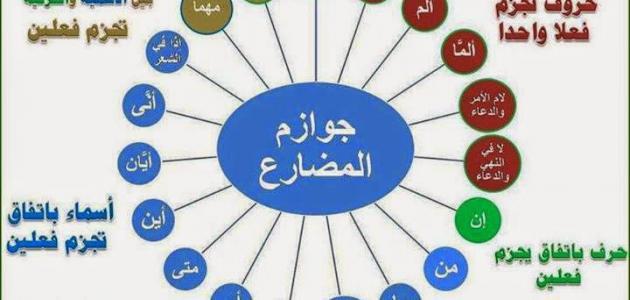 علامات الجزم في اللغة العربية: تحليل نقدي وتوقعات 2026