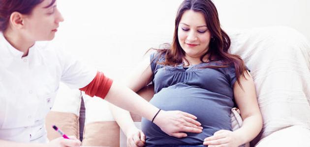 تحليل وزن الجنين في الشهر السادس: تطورات النمو الحاسمة