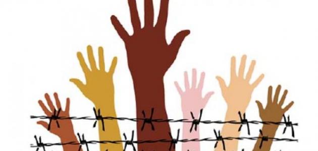 تمكين المواطن: دليل الحقوق المدنية والسياسية لعام 2026