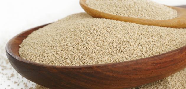 الخميرة الفورية وزيادة الوزن: حقيقة أم خرافة غذائية؟ نظرة استقصائية حتى 2026