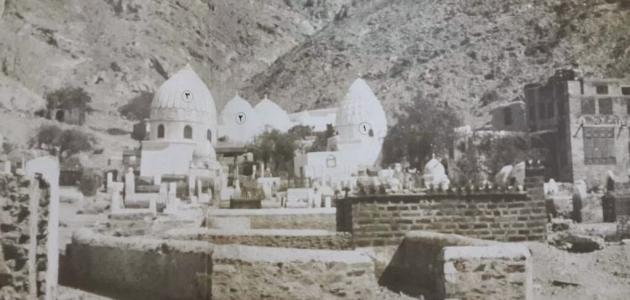 تحلل الجثة في القبر: تحليل علمي لمراحل ما بعد الموت