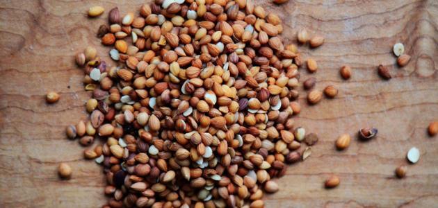 فوائد المحلب للبشرة والوجه