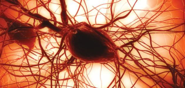 ارتفاع الصفائح الدموية: الأسباب والأعراض وطرق العلاج المتاحة