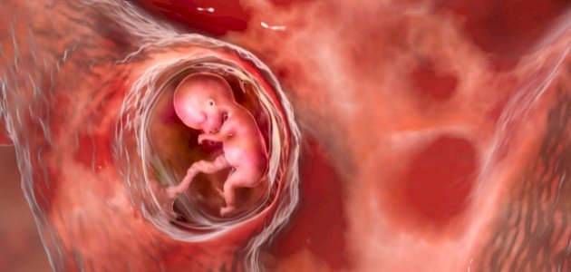 علامات نبض الجنين: كيف يمكن التعرف عليها؟