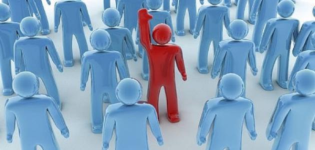 الدليل الشامل للثقافة التنظيمية الفعالة في 2026