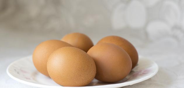 الأطعمة المنقذة لمرضى القولون العصبي: دليل شامل نحو عام 2026