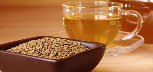 فوائد وأضرار الحلبة للحامل والمرضع