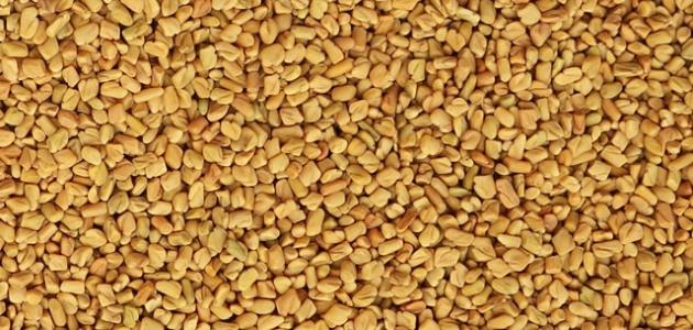 فوائد الحلبة في تبييض البشرة وتحسين مظهرها