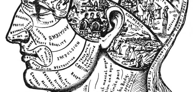 نظرية المعرفة: تحليل معمق لمصادرها ومدارسها الفلسفية