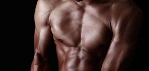 تحليل معمق للقوة العضلية: تعريف، مبادئ، وأنواع