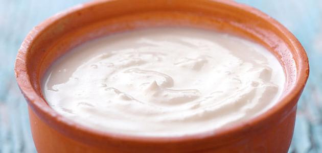 كل ما تود معرفته عن لبن الزبادي: فوائد، أنواع وطريقة التحضير