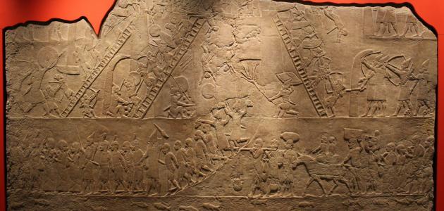 الدليل الشامل لتاريخ الكتابة: من الرسوم الكهفية إلى الأبجدية الحديثة (2026)