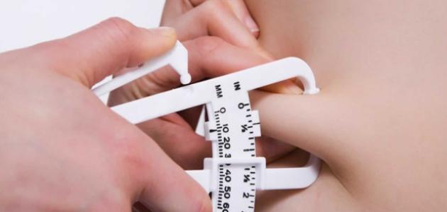 وداعاً للدهون: نظام غذائي ثوري لعام 2026