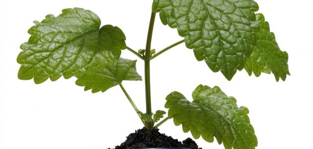 ثورة الابتكار: كيف ستعيد الاختراعات الحديثة تشكيل عالمنا بحلول عام 2026؟